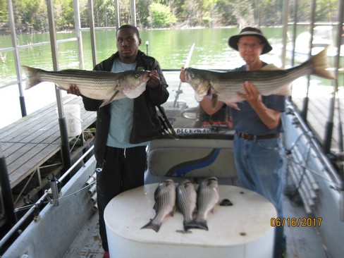 Nice Striped Bass
